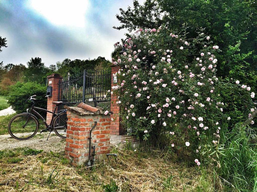 Fienile Da Primo Villa San Giovanni Valdarno Exteriör bild